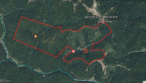 Vacant Land For Sale - County Rt 22<br/> Pleasants County, Saint Marys, WV 26170