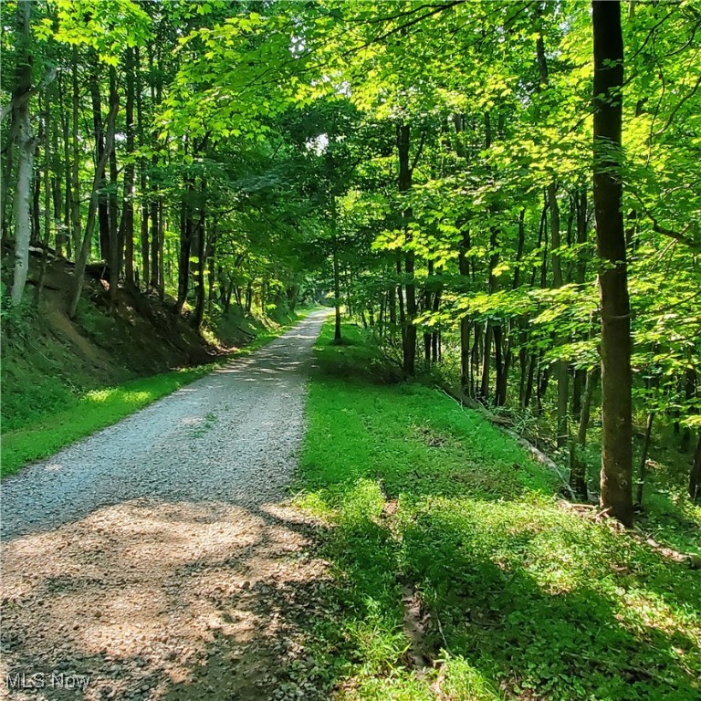 County Rt 22