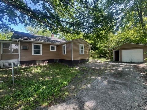 Tiny photo for 875 E 131st Street, Cleveland, OH 44108 (MLS # 5220957)