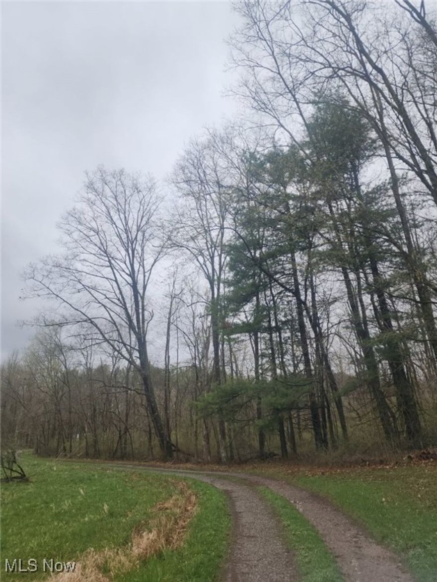 0.25 acre private ground at Tappan Lake.  Just a stones throw from the water!  Fantastic location, adjoining public hunting ground!  Perfect for your new home or weekend retreat.  Harrison Hills Schools.  Seller to retain mineral rights.