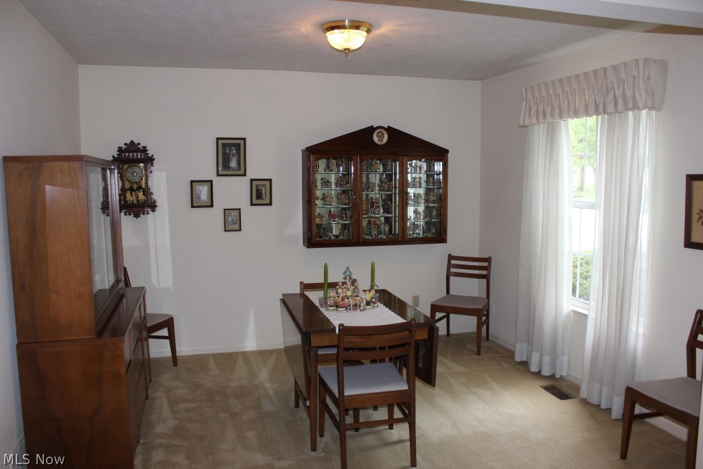 Brook Point Village Condo - Residential