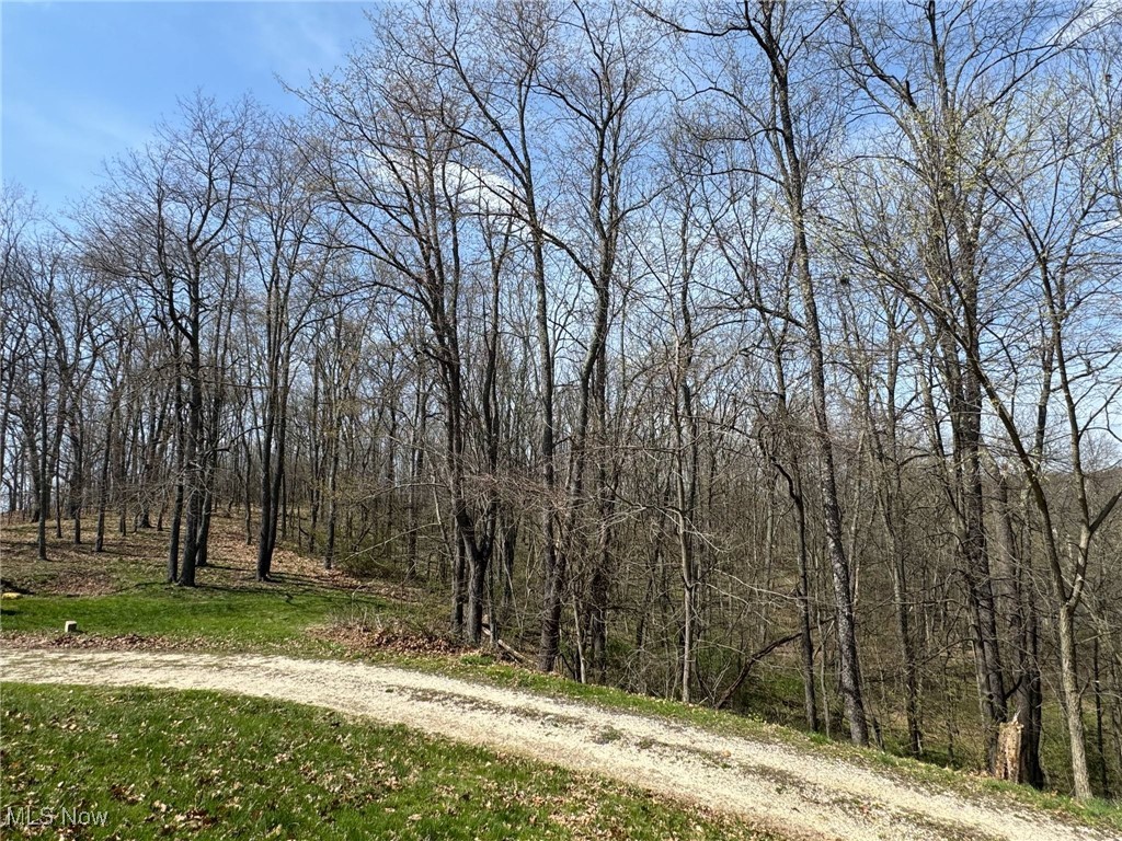 3009 SE Pebble Road, Carrollton, Ohio image 35