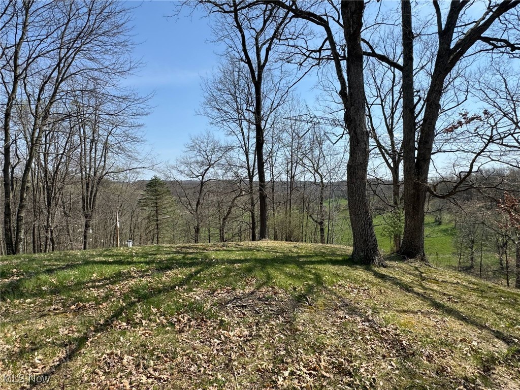 3009 SE Pebble Road, Carrollton, Ohio image 32