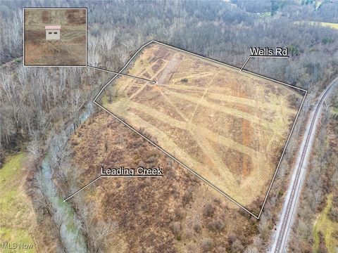 Vacant Land For Sale - Wells Road<br/> Meigs County, Middleport, OH 45760