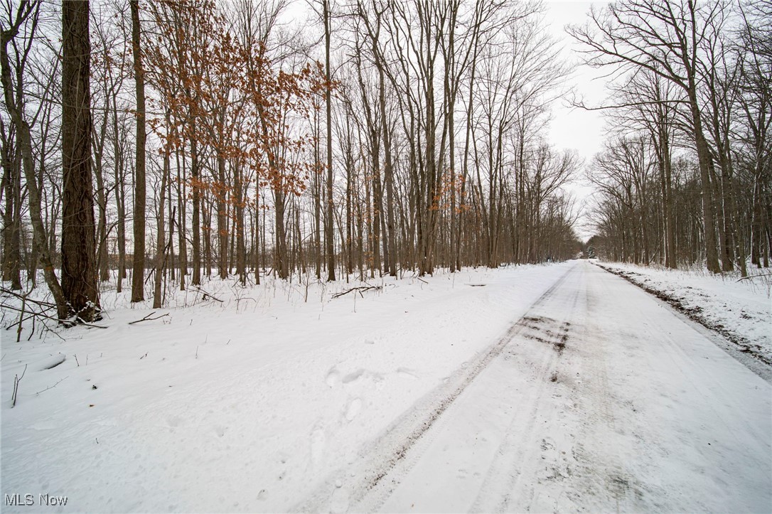 V/L 3-31 Willow Street