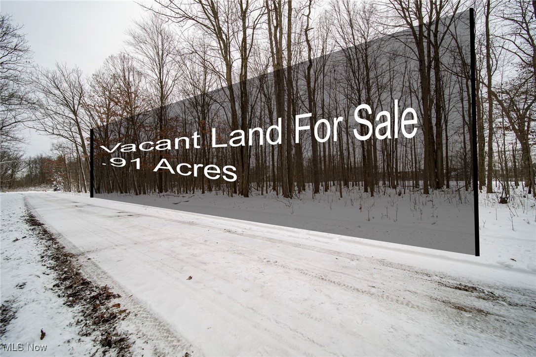 V/L 3-31 Willow Street