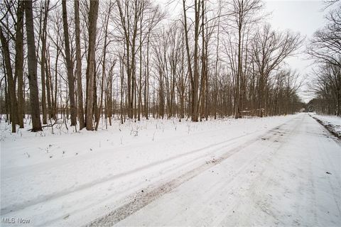 Vacant Land For Sale - V/L 3-31 Willow Street<br/> Solon, OH 44139