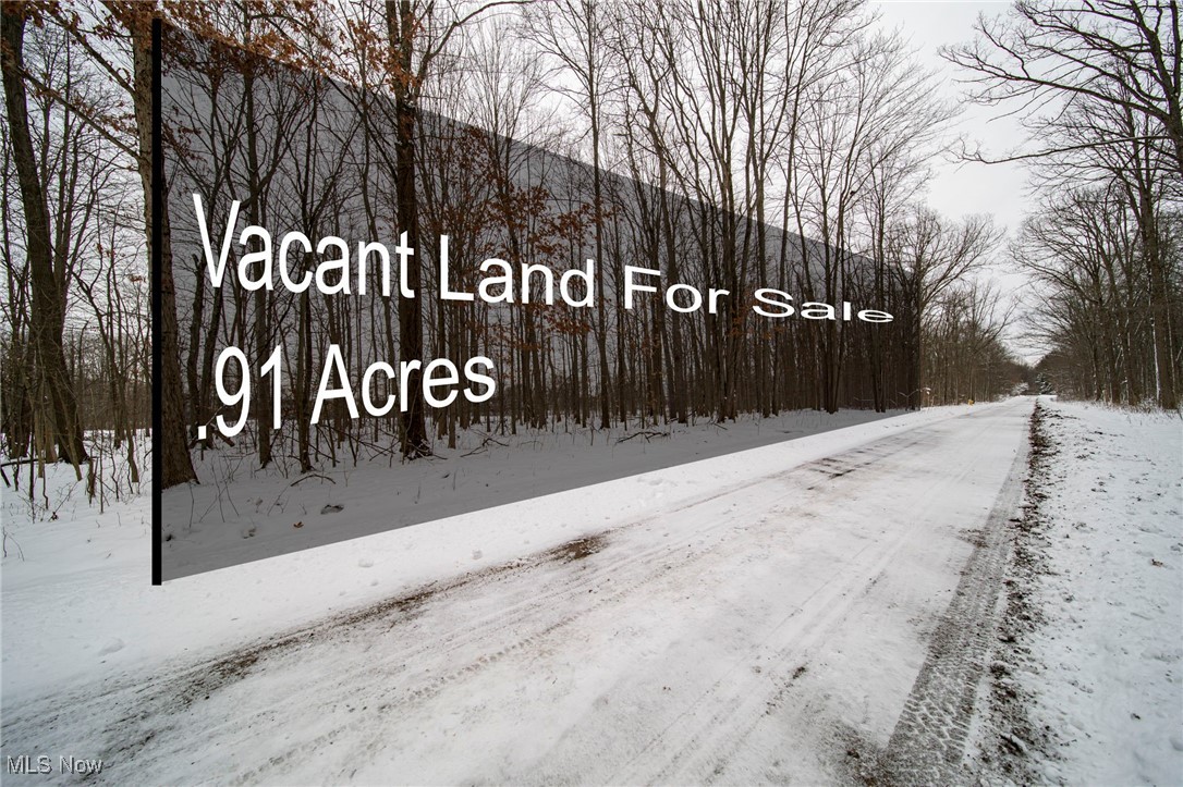 V/L 3-31 Willow Street