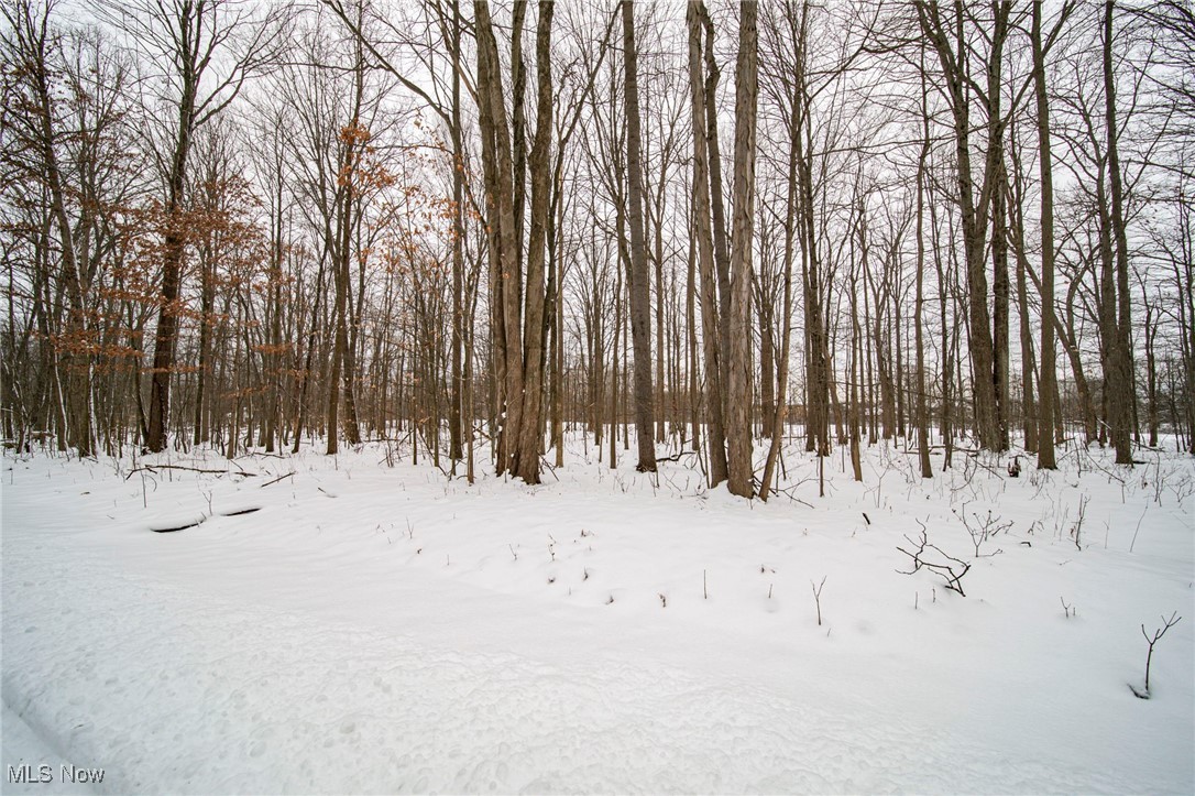 V/L 3-31 Willow Street