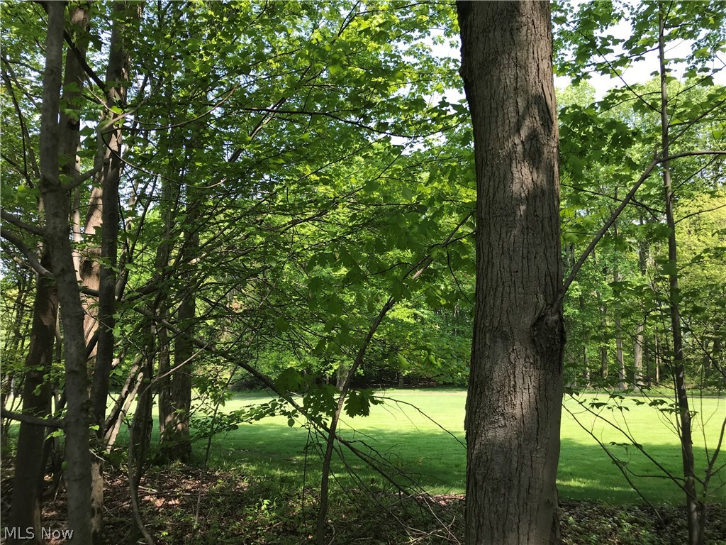 Ridgewood Condo Homes Ph 01z - Residential