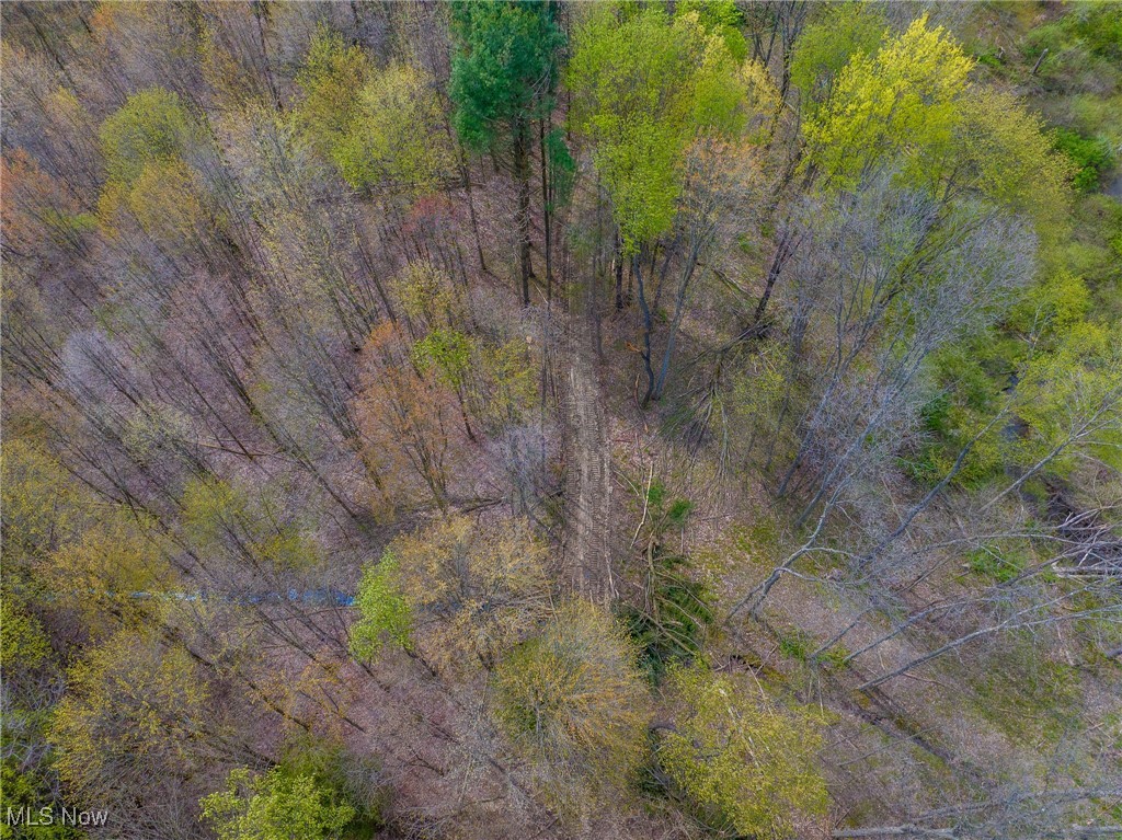 Crosby Creek Road, Rome, Ohio image 19