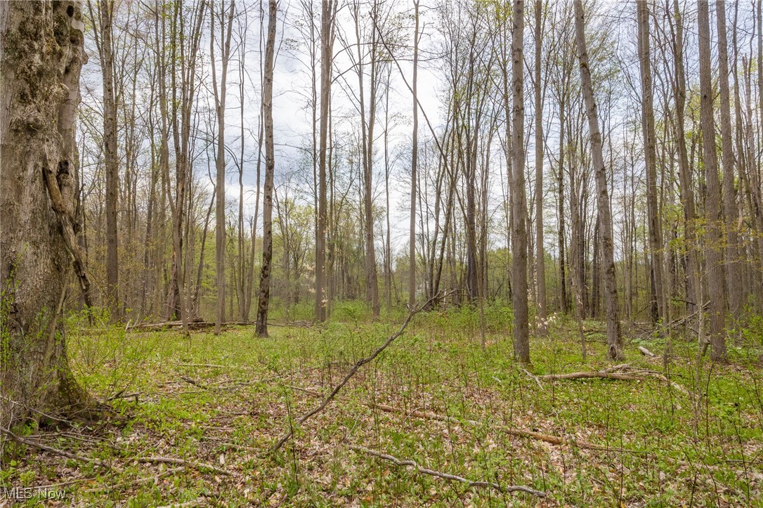 Crosby Creek Road, Rome, Ohio image 12