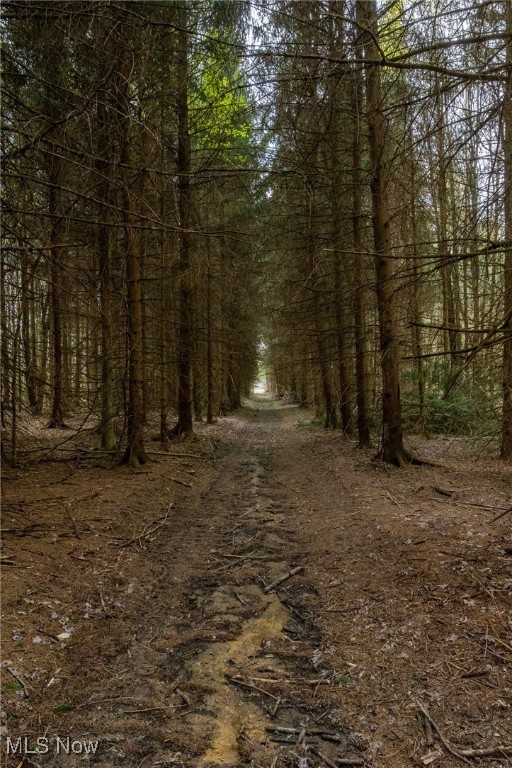 Crosby Creek Road, Rome, Ohio image 3