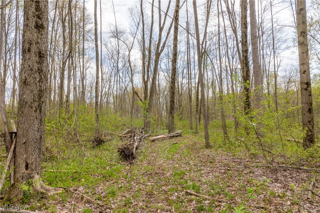 Crosby Creek Road, Rome, Ohio image 13