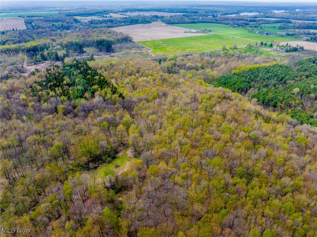 Crosby Creek Road, Rome, Ohio image 20