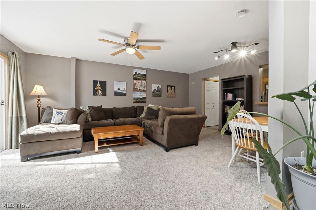 Medina - Residential