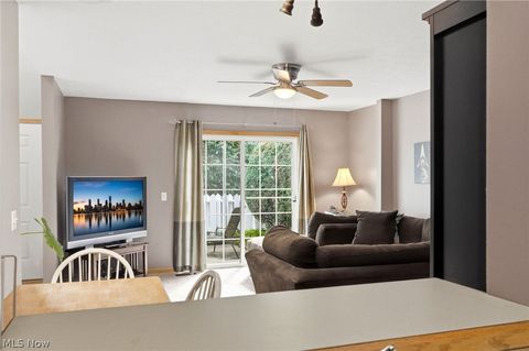 Tiny photo for 1045 N Jefferson Street #D, Medina, OH 44256 (MLS # 5200744)