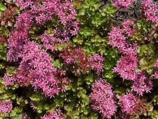 Crocker - Residential