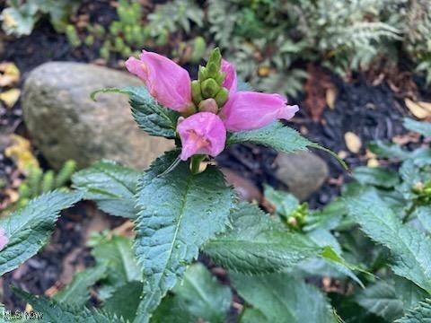 Crocker - Residential