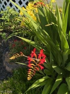 Crocker - Residential