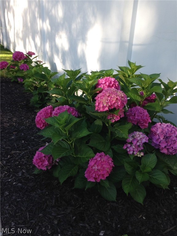 Woodland - Residential