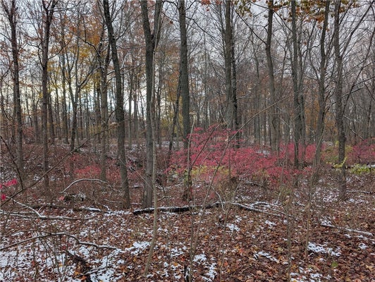 GREENWICH RD, LODI, OH 44254 - Image 690ec21bcc03b05d5f1acdc6a41da5fc/2346805517