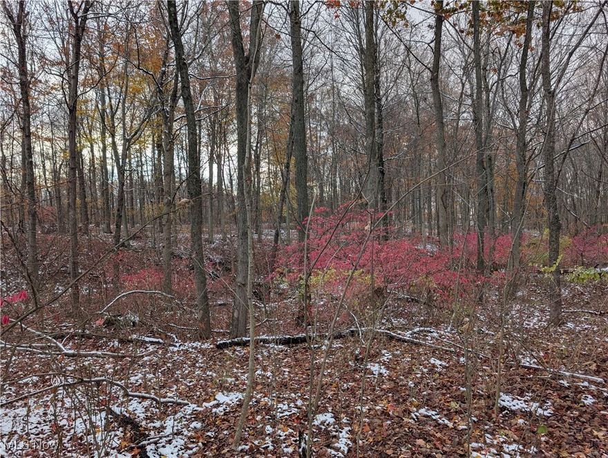 Beautiful 2.55 acre lot in Harrisville Township (Cloverleaf schools) just minutes away from 224 and I-71. Easy access to Akron, Cleveland and Canton. Make this beautiful land yours!