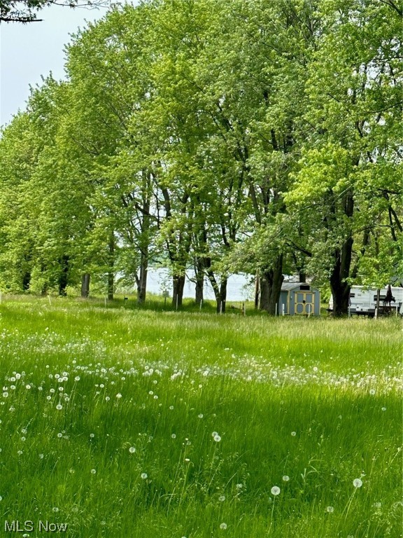 Mecca Township Sec 11 Cowles - Land