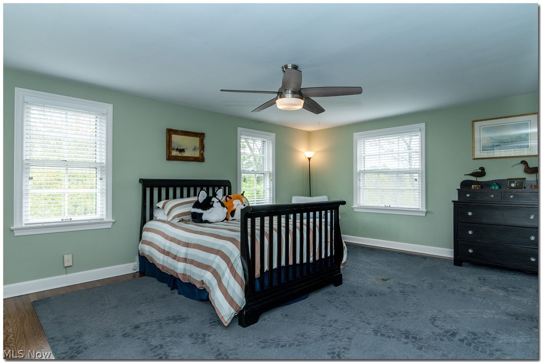 Daisy Hill - Residential