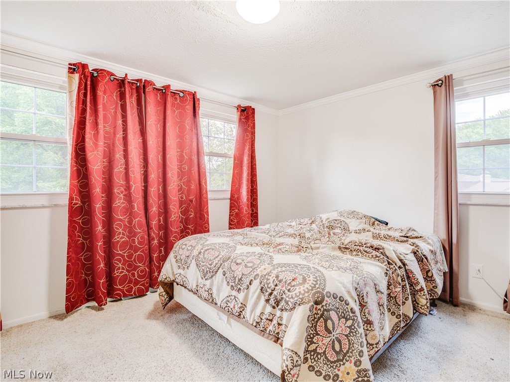 Fairtree - Residential