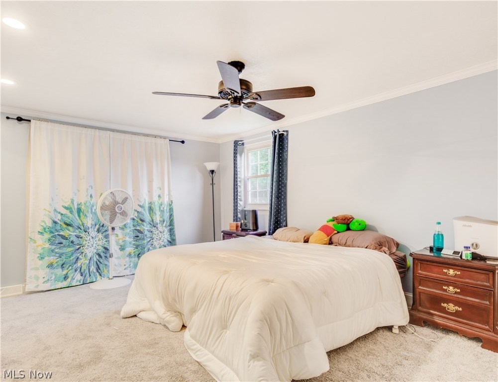 Fairtree - Residential