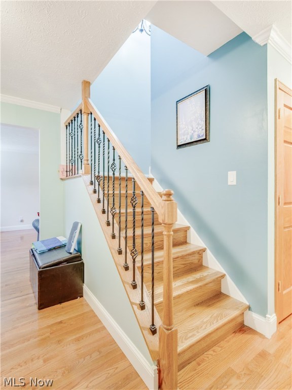 Fairtree - Residential