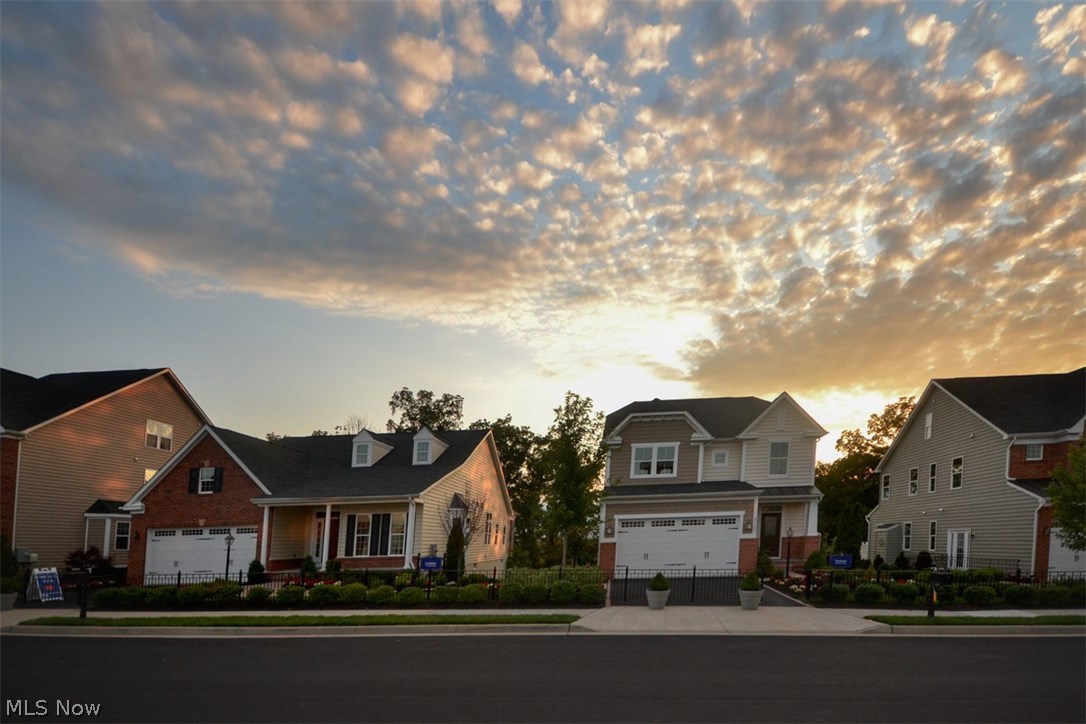 Forest Ridge Preserve - Residential
