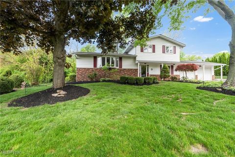 7456 Blue Ridge Drive, Mentor, OH 44060 - MLS#: 5121736