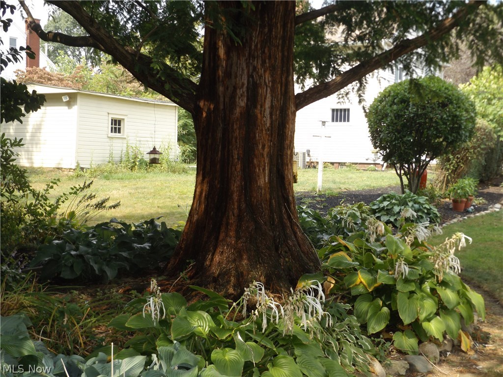 North Canton - Residential