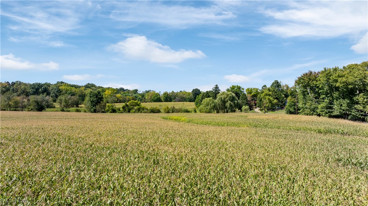 Southeast Quarter Sec 1 T- - Land