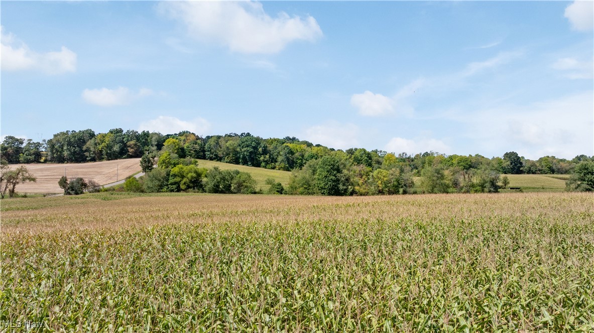 Southeast Quarter Sec 1 T- - Land