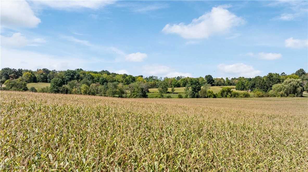 Southeast Quarter Sec 1 T- - Land