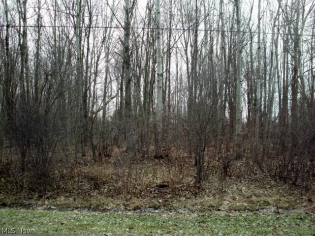 Roaming Rock Xiv - Land