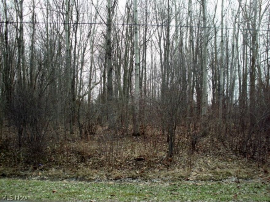 Nice lot in beautiful Roaming Shores. Lake Roaming Rock ranks in the top 5 for Bass fishing.