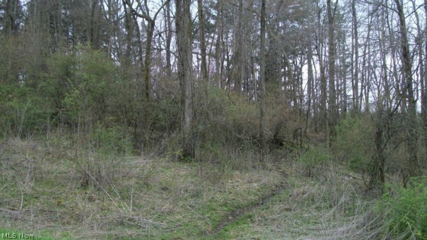 nice wooded lot with a small creek/ravine running thru, possible building site.