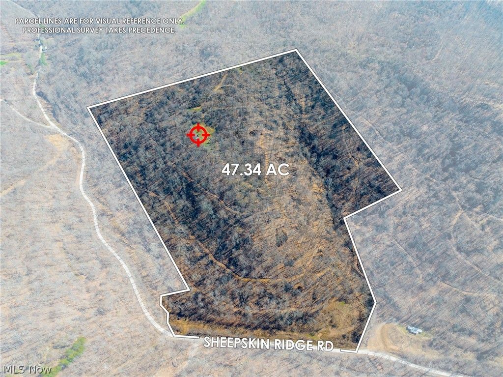 Photo of Sheepskin Ridge Road, Lower Salem, OH 45745 (MLS # 5192682)