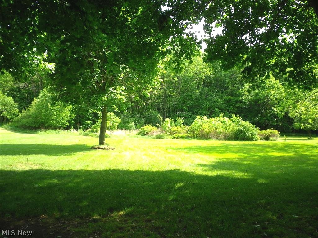 Springfield 05 - Residential