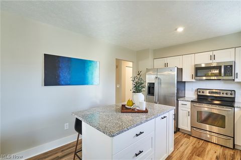 Tiny photo for 1661 Devonshire Drive, Brunswick, OH 44212 (MLS # 5190287)