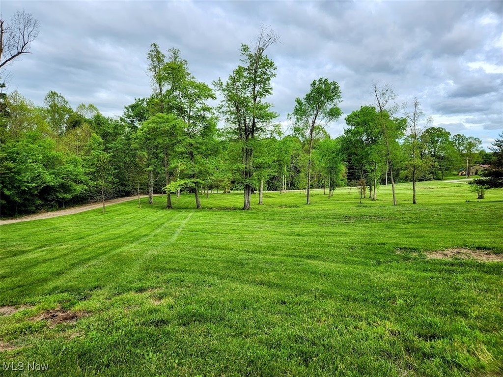 62525 Institute Road, Lore City, Ohio image 42