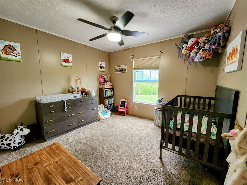 62525 Institute Road, Lore City, Ohio image 20