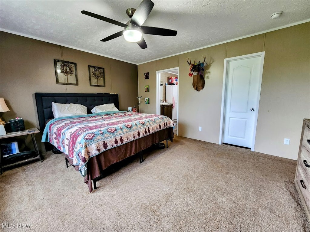 62525 Institute Road, Lore City, Ohio image 14