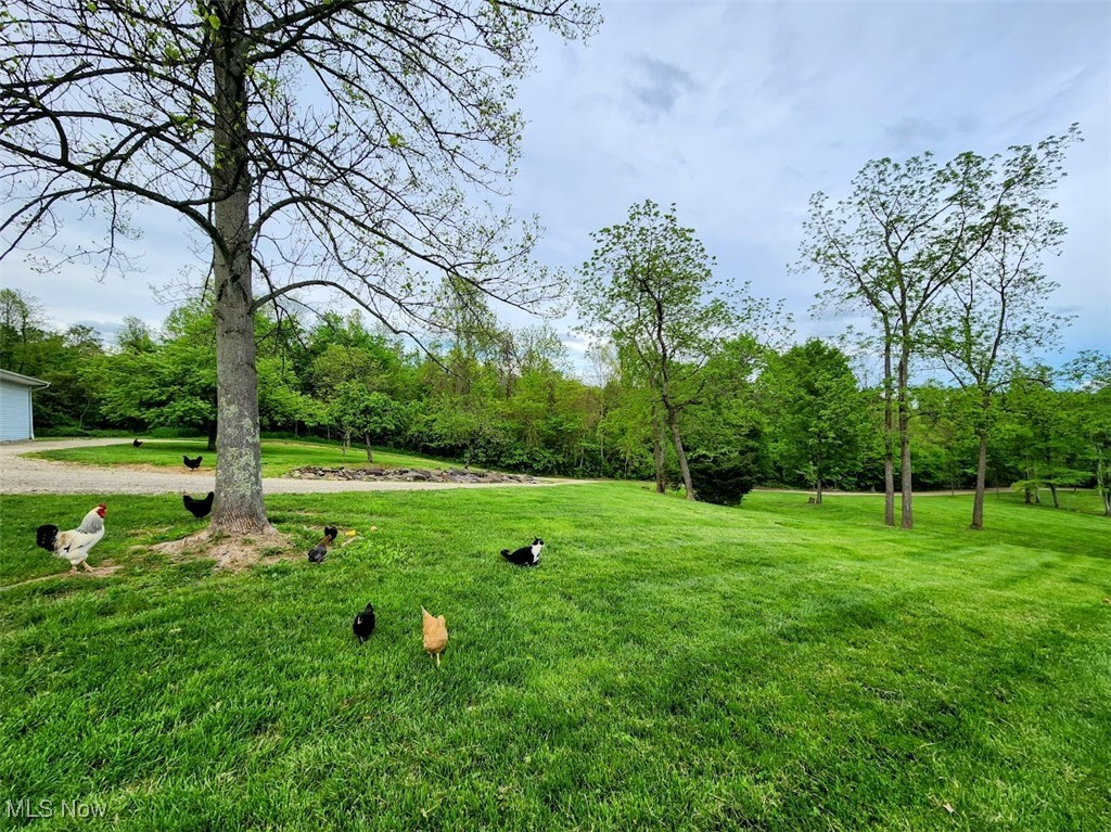 62525 Institute Road, Lore City, Ohio image 34