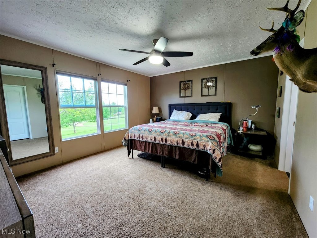62525 Institute Road, Lore City, Ohio image 13
