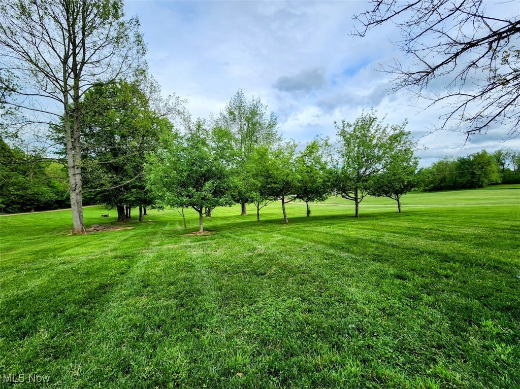 62525 Institute Road, Lore City, Ohio image 37